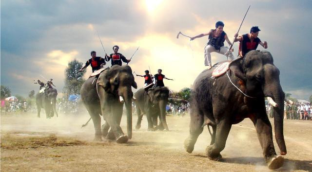 Festival des courses d'éléphants