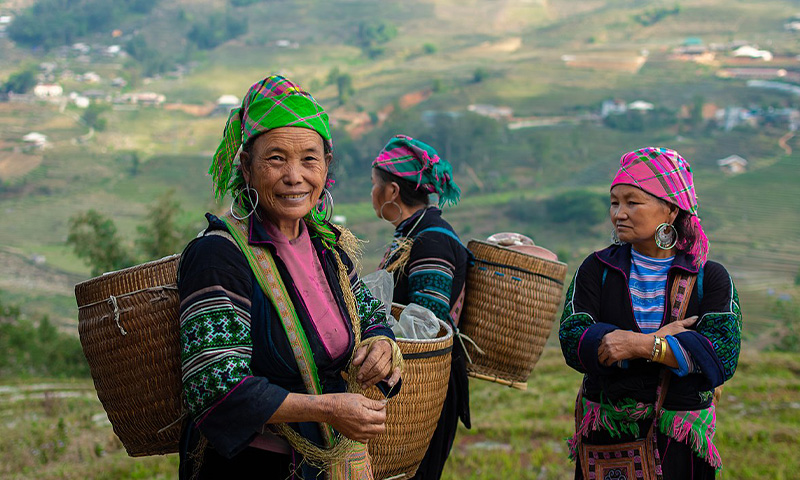 Activités économiques des Hmong