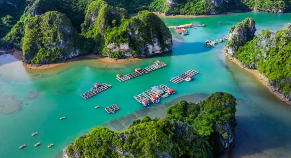 Baie de Bai Tu Long