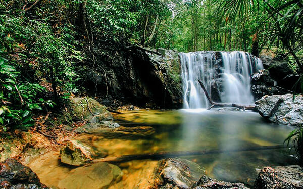 Beauté sauvage du parc national de Phu Quoc