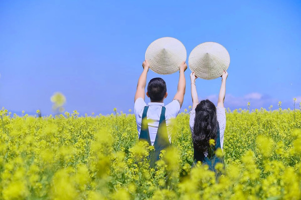Champ de fleurs de colza de Cau Dat Farm - Da Lat