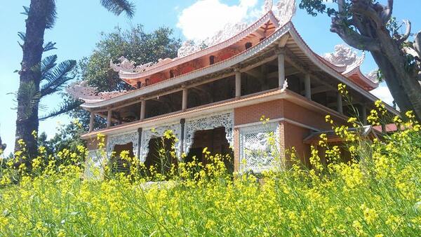 Champ de fleurs de sarrasin de pagode Van Duc - Da Lat