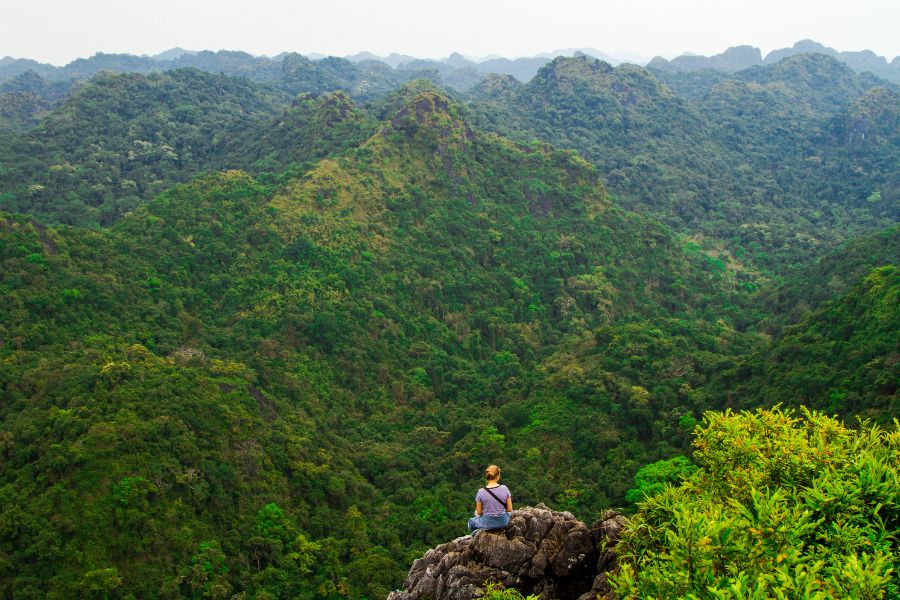 Explorez la biodiversité luxuriante du parc national de Cat Ba
