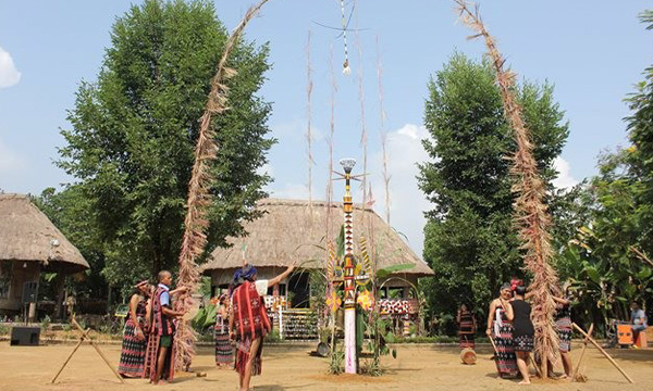 Cérémonie d'érection d'arbre tabou du peuple Katu