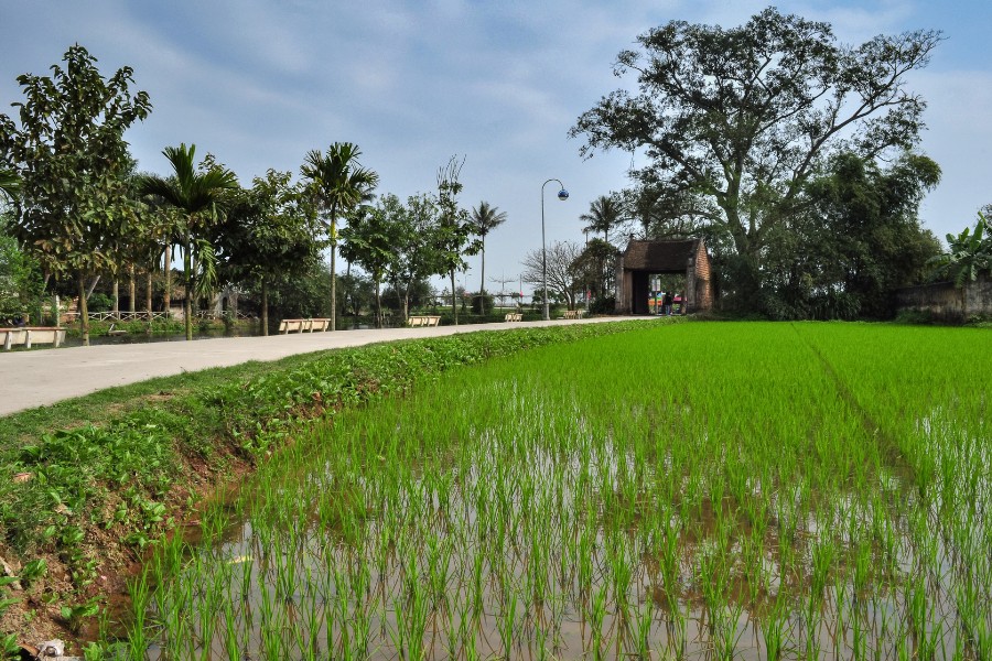 Le village ancien de Duong Lam est également une excellente option à considérer lors d’un séjour de 10 jours au Vietnam, surtout si vous prévoyez de passer par Hanoï