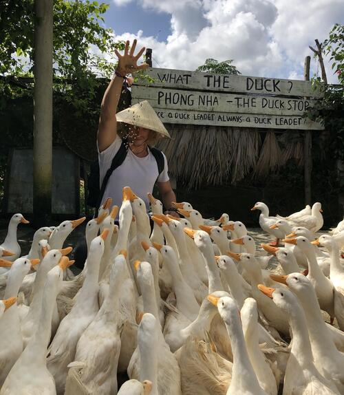 Devenez un chef de canard à The Duck Stop Vietnam