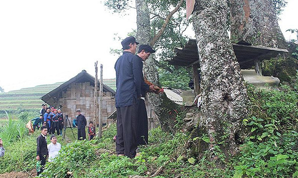 Ethnie Gelao à Hoang Su Phi, Ha Giang