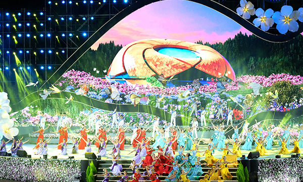 Festival des fleurs de Da Lat