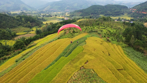 Festival Voler sur la saison dorée Binh Lieu