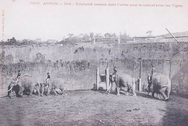 Histoire du site de Ho Quyen Hué