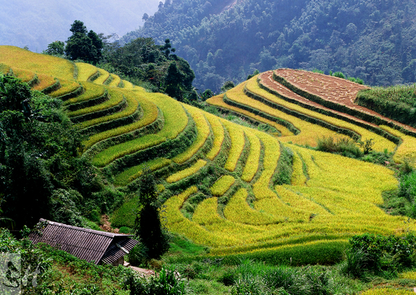 Ha Giang
