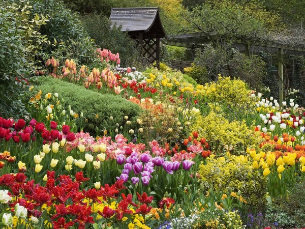 Jardin de fleurs Minh Tam - Da Lat