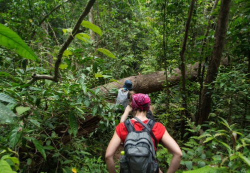 Trekking dans le parc national de Khao Yai