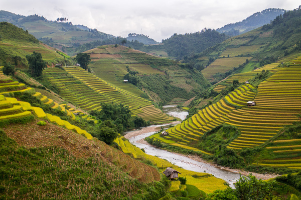 Mu Cang Chai