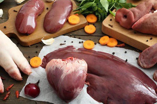 Organes animaux