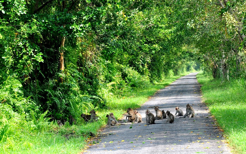 Parc national de Phu Quoc