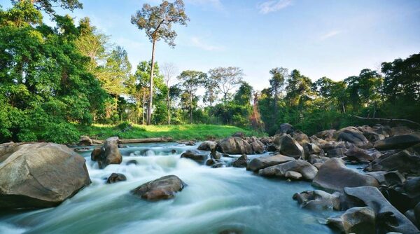 Parc national Yok Don