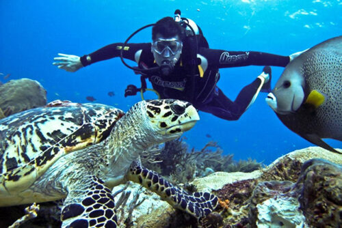 Plonger à Phu Quoc