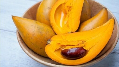 Pouteria Lucuma