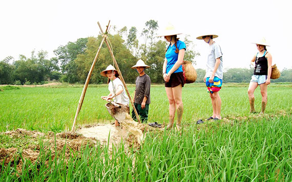 Les touristes internationaux aiment participer à des circuits agricoles au Vietnam