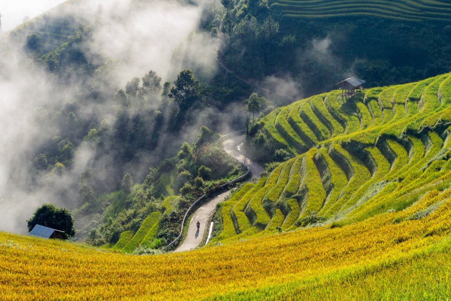 Les champs en terrasses de Mu Cang Chai, qui faisaient autrefois partie de Yen Bai, feront désormais partie du tourisme de Lao Cai.