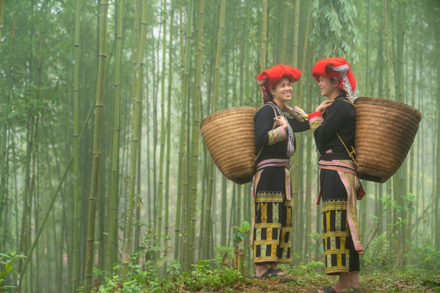 Les femmes Dao vont travailler dans les champs en costumes traditionnels, vêtues de longues robes indigo et d'écharpes rouges, avec des paniers sur le dos.