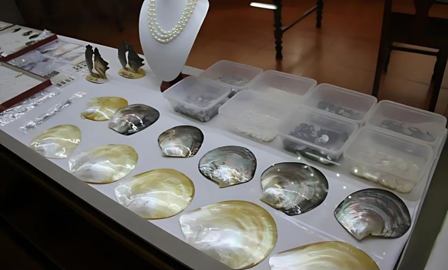 Pendant la croisière, visitez les ateliers de perles d'Ha Long pour acheter des bijoux et des souvenirs.