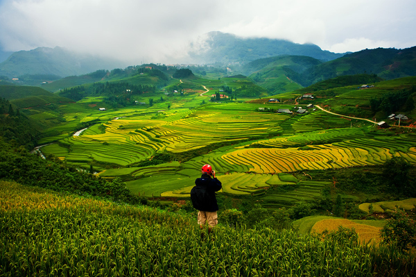Sapa au nord du Vietnam