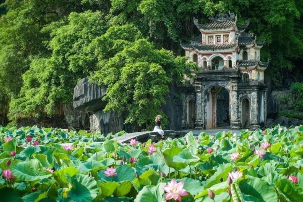 Saison du lotus à Tam Coc Vietnam