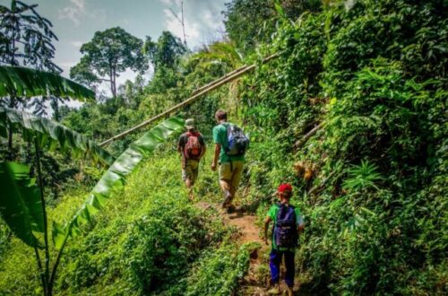 Trekking à Chiang Rai
