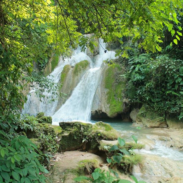 Cascade Tad Thong