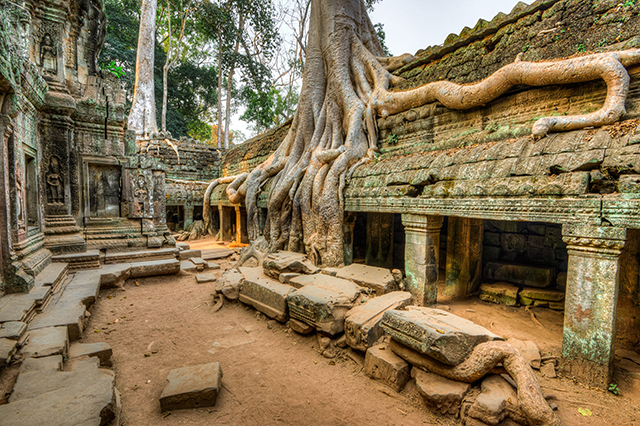Temple Ta Prohm