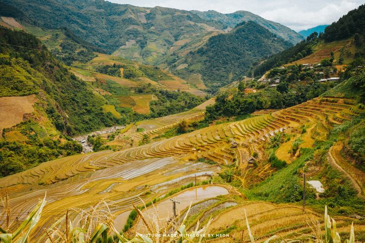 En route vers Nghia Lo, où l’or des rizières se mêle au souffle des montagnes et du vent.