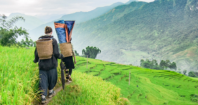 Voyagez au Vietnam pendant la basse saison