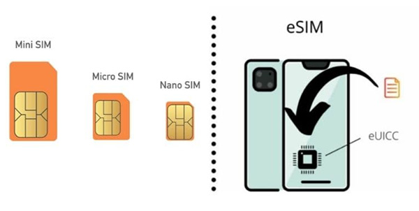 Formes de cartes SIM vietnamiennes
